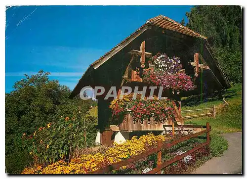 Cartes postales moderne Berner Speicher