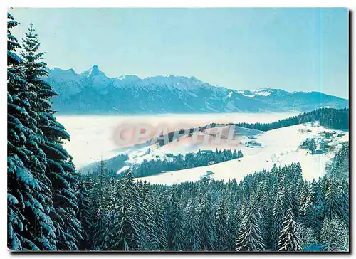 Cartes postales moderne Heiligenschwendi on Thun 1100 muM