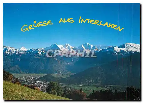 Cartes postales moderne Gruss Aus Interlaken Interlaken Berner Oberland