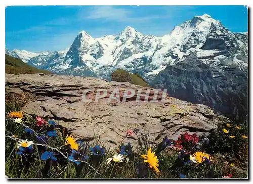 Cartes postales moderne Eier Monch Jungfrau