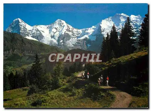 Cartes postales moderne Eiger Monch und Jungfrau und Wengernalp