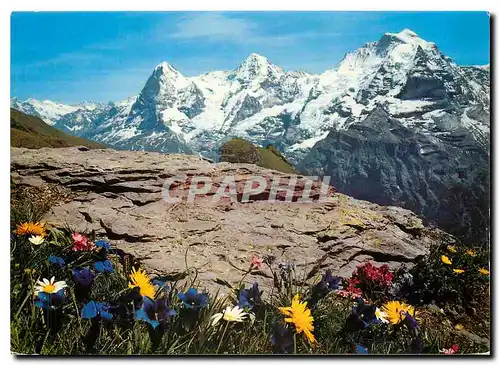 Cartes postales moderne Eiger Monch Jungfrau