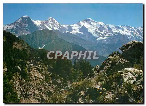 Cartes postales moderne Switzerland Eiger Monch Jungfrau Berner Oberland
