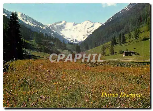 Cartes postales moderne Davos Dischmatal gegen Piz Grialetsch und Scalettahorn