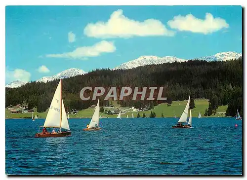 Cartes postales moderne Davos Am Davosersee gegen Hohwald