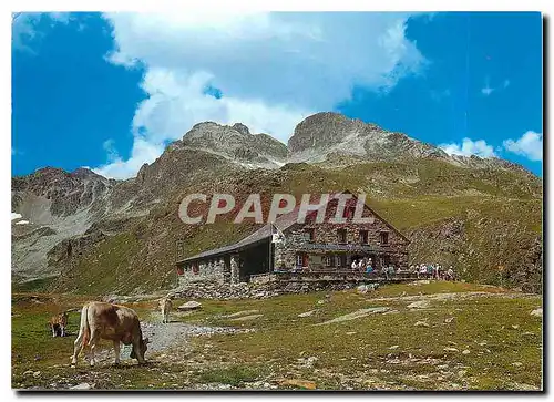 Cartes postales moderne Grialetschutte mit Piz Radont