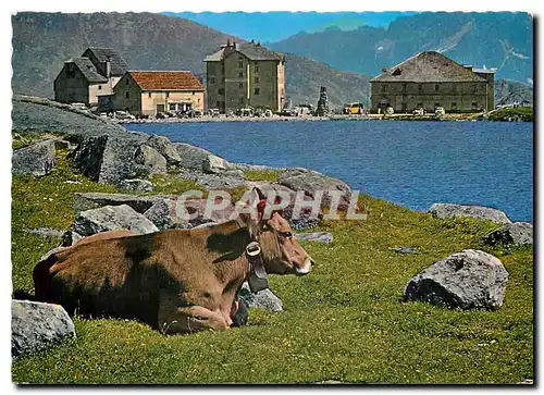 Cartes postales moderne San Gottardo Ospizio