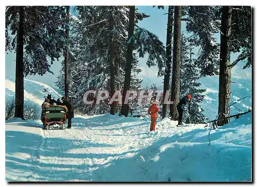 Cartes postales moderne Flims Waldpartie