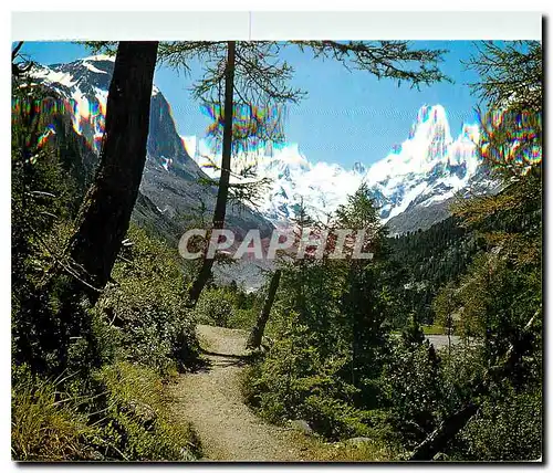 Cartes postales moderne Montebelloweg mit Berninagruppe