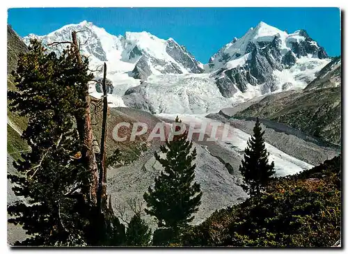 Cartes postales moderne Piz Bernina monte di Scerseen und Piz Roseg