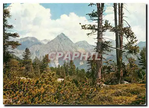 Cartes postales moderne Parc national Dans le giboyeux Val Minger
