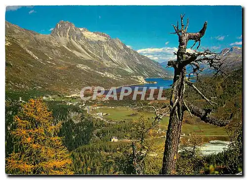 Moderne Karte Maloja mit Silsersee und Piz Lagrev