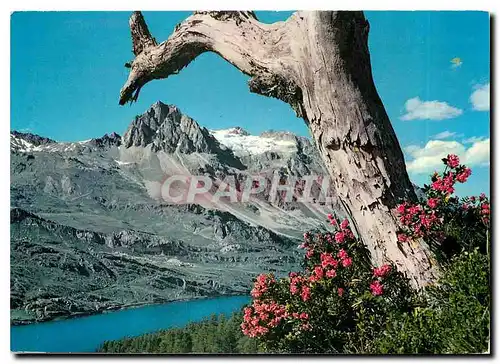 Cartes postales moderne Bai Maleja