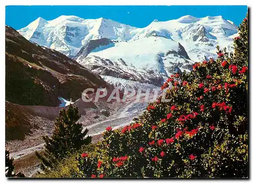 Cartes postales moderne Piz Palu und Bellavista Berninagebiet