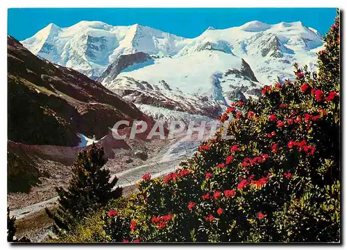 Cartes postales moderne Piz Palu und Bellavista