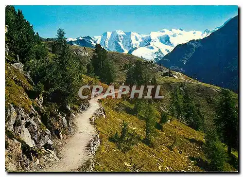 Cartes postales moderne Hohenweg mit Piz Palu und Bellavista