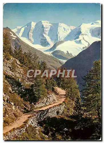 Cartes postales moderne Hohenweg mit Piz Palu