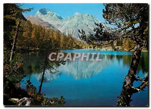 Cartes postales moderne Palpuognasee ob Preda am Albulapass