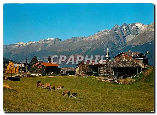 Cartes postales moderne Obersaxen Miraniga mit dem Oberalpstock