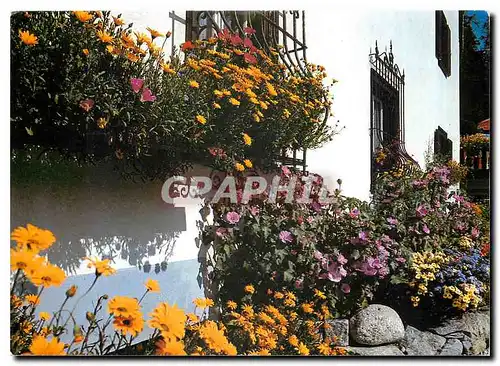 Cartes postales moderne Hotel Seraina