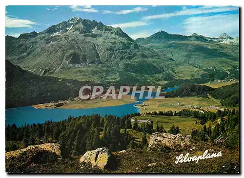 Cartes postales moderne Silvaplana Oberengadin