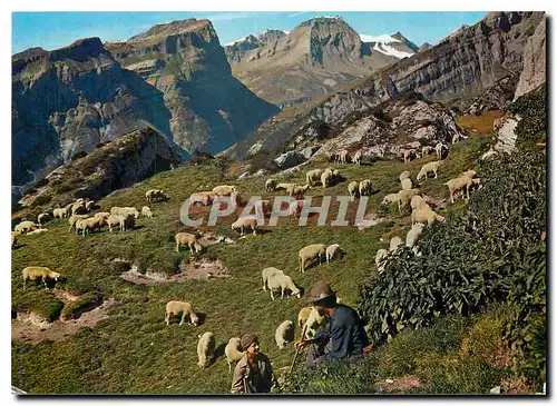 Moderne Karte Schafe auf den Alp Folklore Moutons