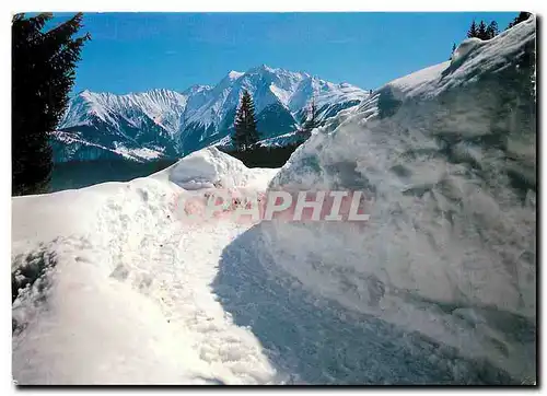 Cartes postales moderne Hohenweg Spalegna Scheia