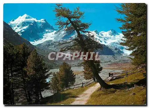 Cartes postales moderne Im Rosegtal Piz Roseg und Sellagruppe