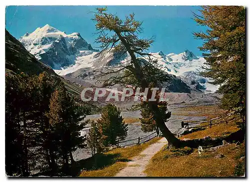 Cartes postales moderne Im Rosegtal