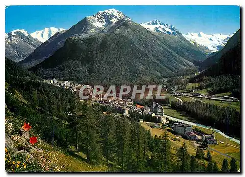 Moderne Karte Pontresina mit Piz Palu und Sellagruppe