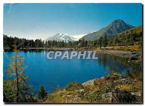Cartes postales moderne Val di Campo Poschiavo Lago di val Viola