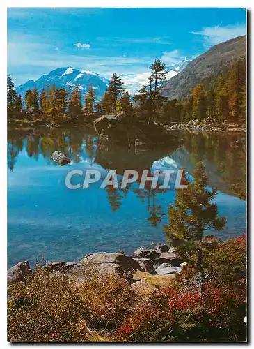 Cartes postales moderne Lago Saoseo