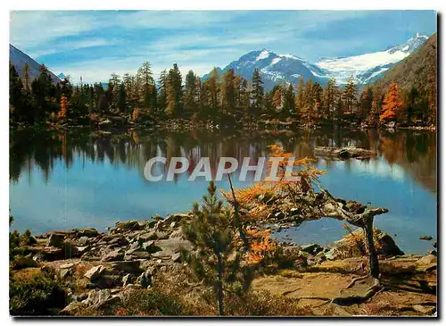 Cartes postales moderne Lago Saoseo con vista Palu