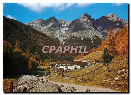 Cartes postales moderne Scharf mit Pisocgruppe
