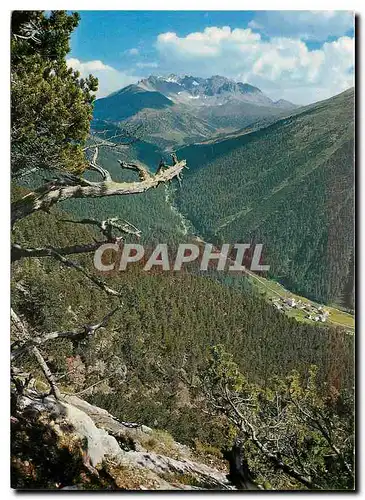 Cartes postales moderne Scharl Blick gegen die Alpen