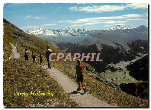 Cartes postales moderne Davos Hohenweg