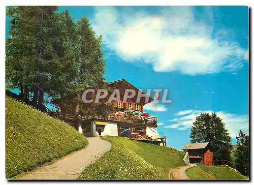 Cartes postales moderne Restaurant Streia Alp Davos Schatzalp