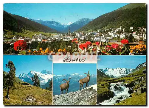 Cartes postales moderne Davos