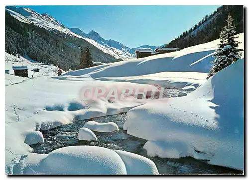 Cartes postales moderne Davos Winterschonberf