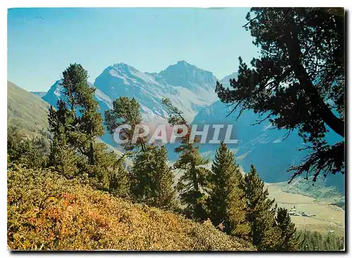 Cartes postales moderne Davos Sertig