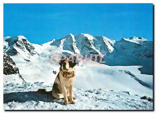 Cartes postales moderne Diavolezza