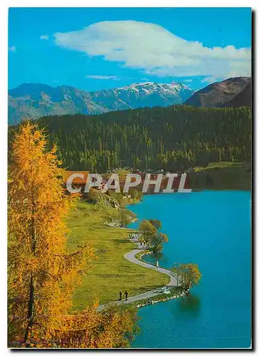 Cartes postales moderne Davos Seepromenade gegen Hohwald