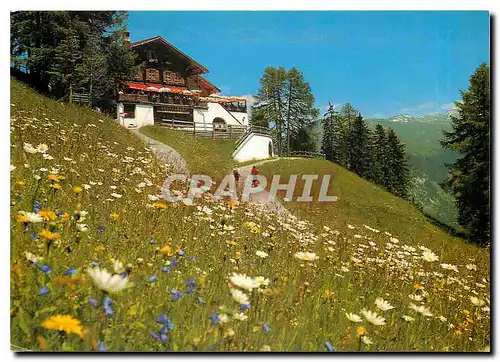 Cartes postales moderne Restaurant Strela Alp Davos