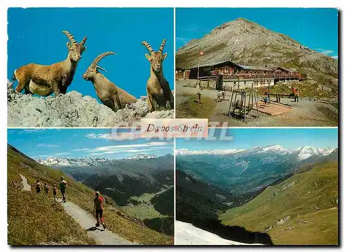 Cartes postales moderne Davos Strela