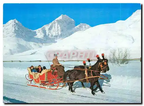 Cartes postales moderne Schlittenfahrt im Engadin
