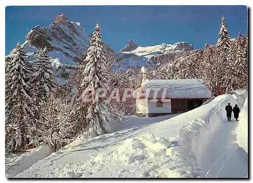 Cartes postales moderne Braunwald