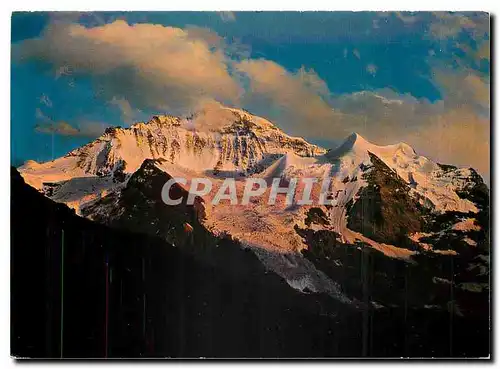 Cartes postales moderne Wengen Sommer und Winterkurort Die Jungfrau im Abendrot