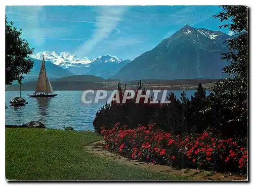 Moderne Karte Am Thunersee Blumlisalp Niesen