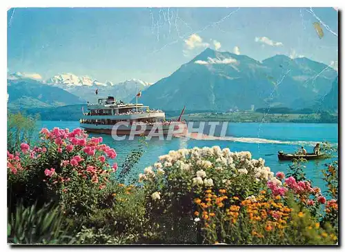 Cartes postales moderne Thunersee