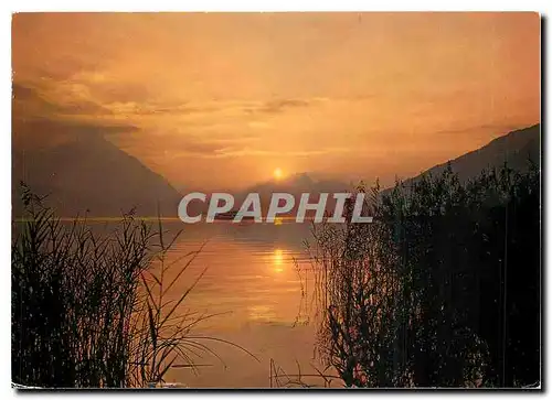 Cartes postales moderne Sonnenuntergang am Thunersee
